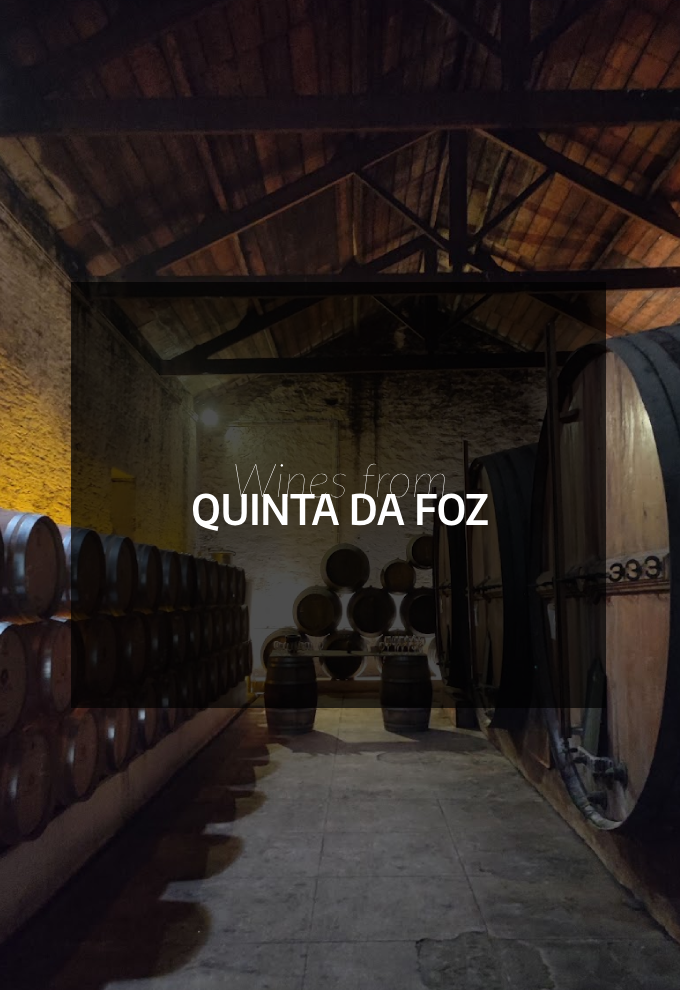 Quinta da Foz in Douro Valley