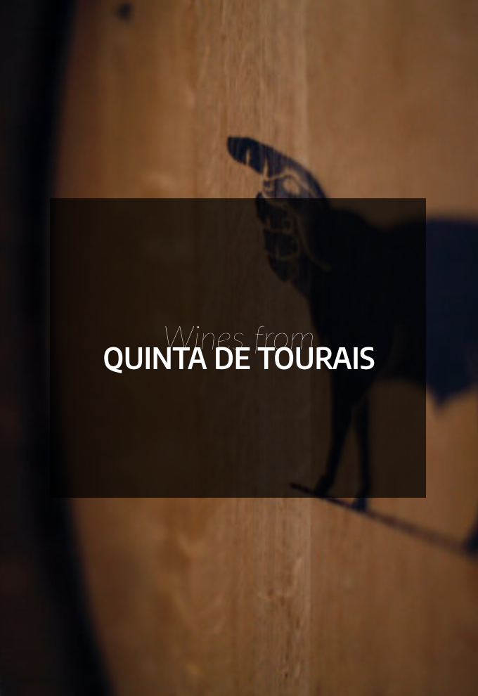 Quinta de Tourais in Douro Valley