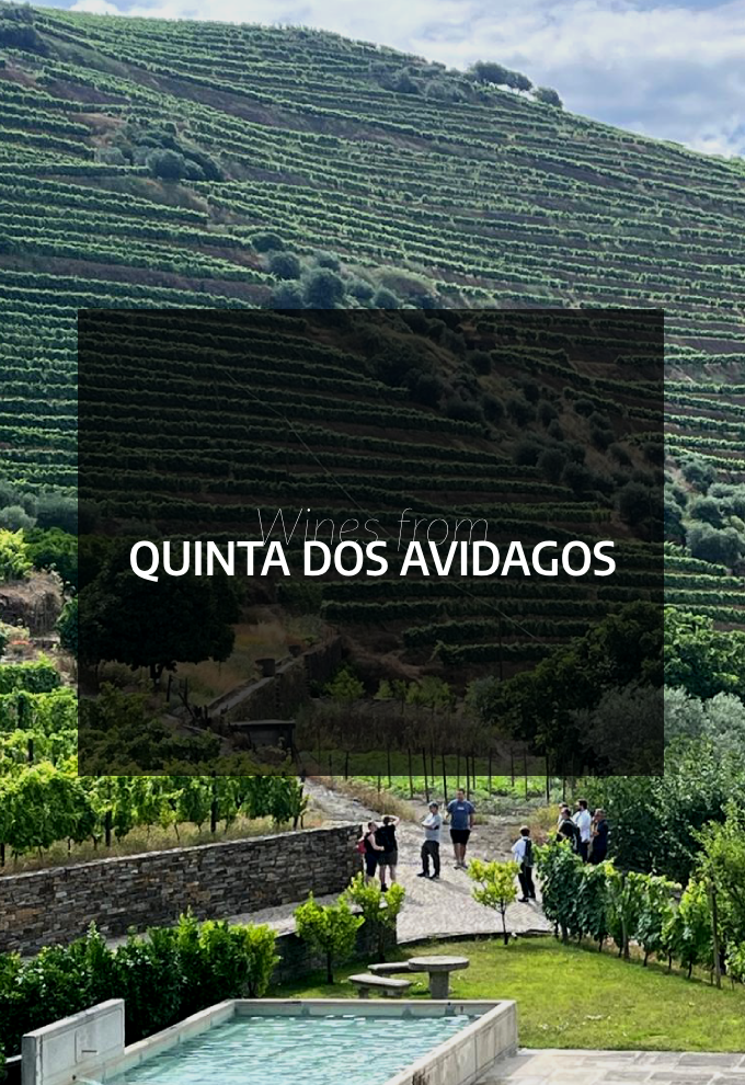 Quinta dos Avidagos in Douro Valley